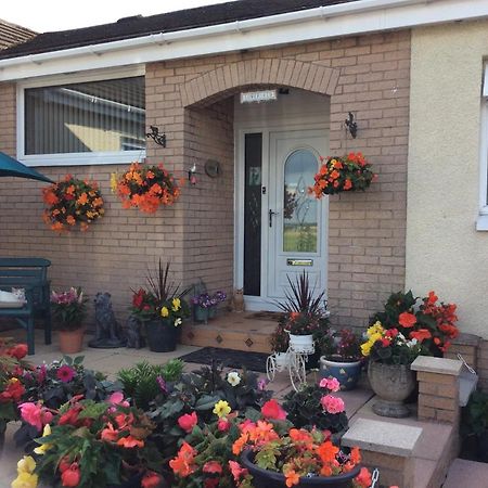 Lowefield B&B Stirling Esterno foto