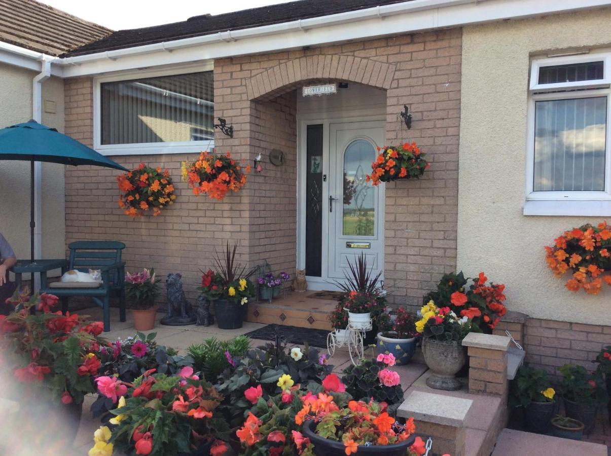 Lowefield B&B Stirling Esterno foto